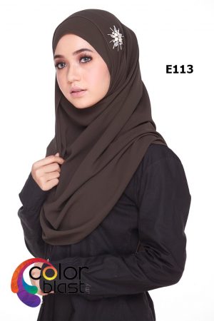 E113