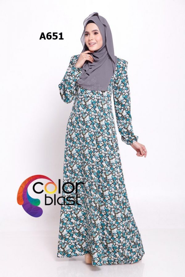 A651 - Image 2