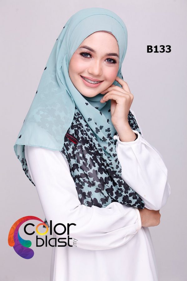 B133 - Image 3