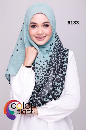 B133