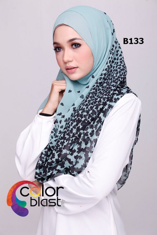B133 - Image 2