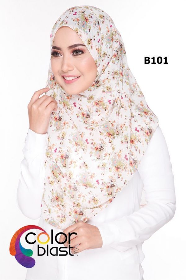 B101 - Image 2