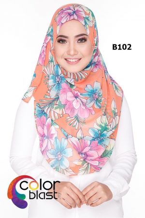 B102