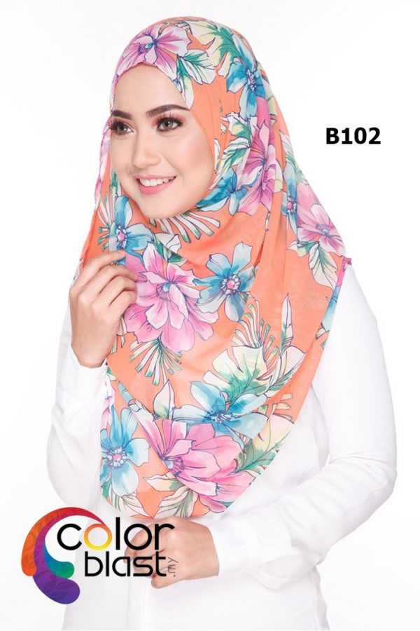 B102 - Image 2