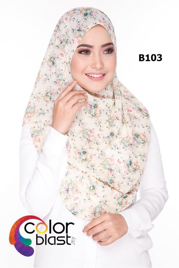 B103 - Image 2
