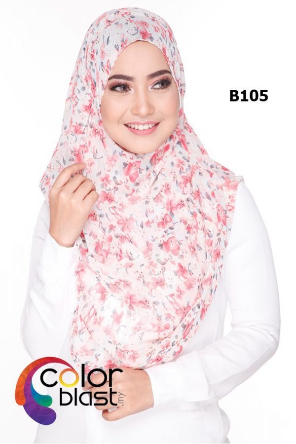 B105 - Image 2