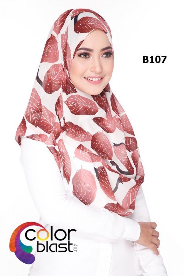 B107 - Image 2