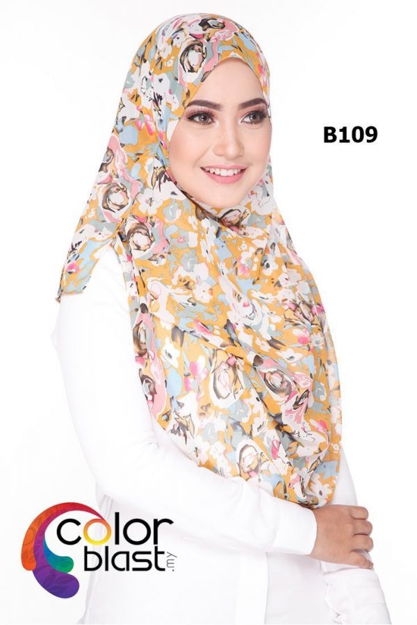 B109 - Image 2