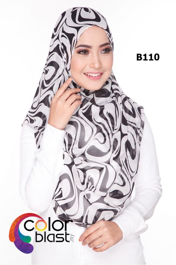 B110 - Image 2