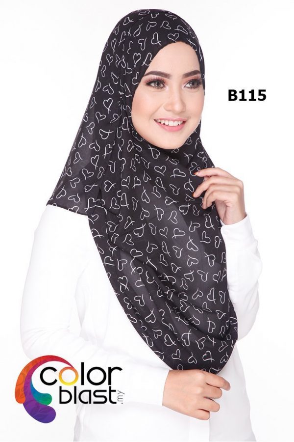 B115 - Image 2