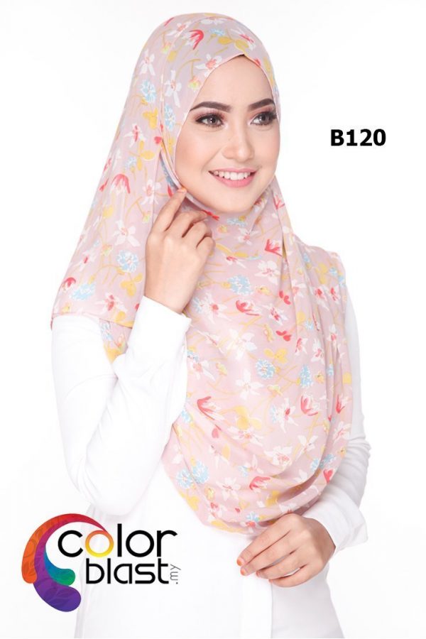 B120 - Image 2